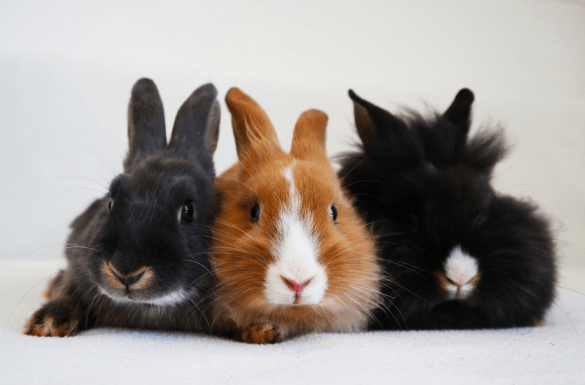 If You Can Make a Change, Why Won’t&nbsp;You?